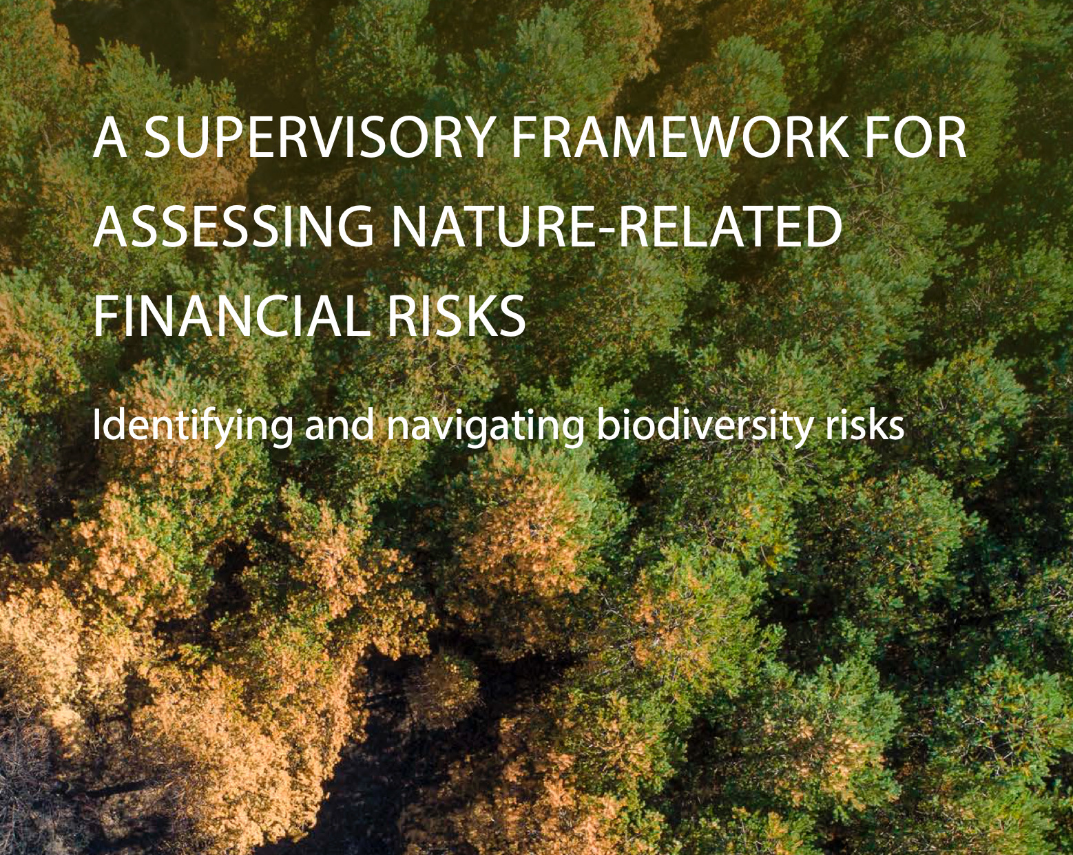 A supervisory framework for assessing nature-related financial risks