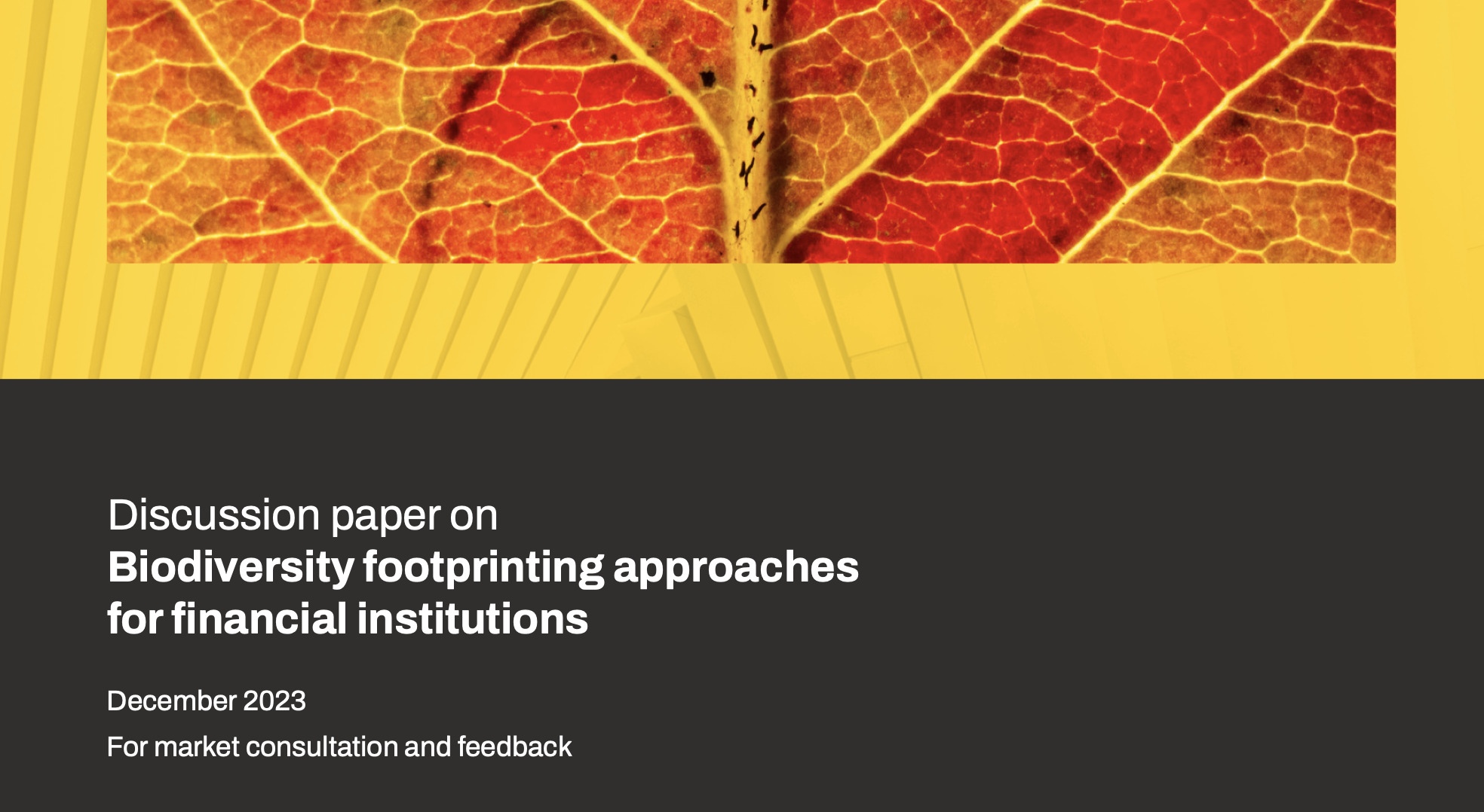 Discussion paper on biodiversity footprinting approaches for financial institutions