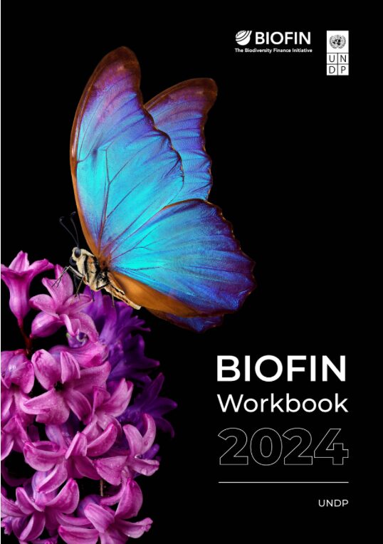 BIOFIN 2024 Workbook