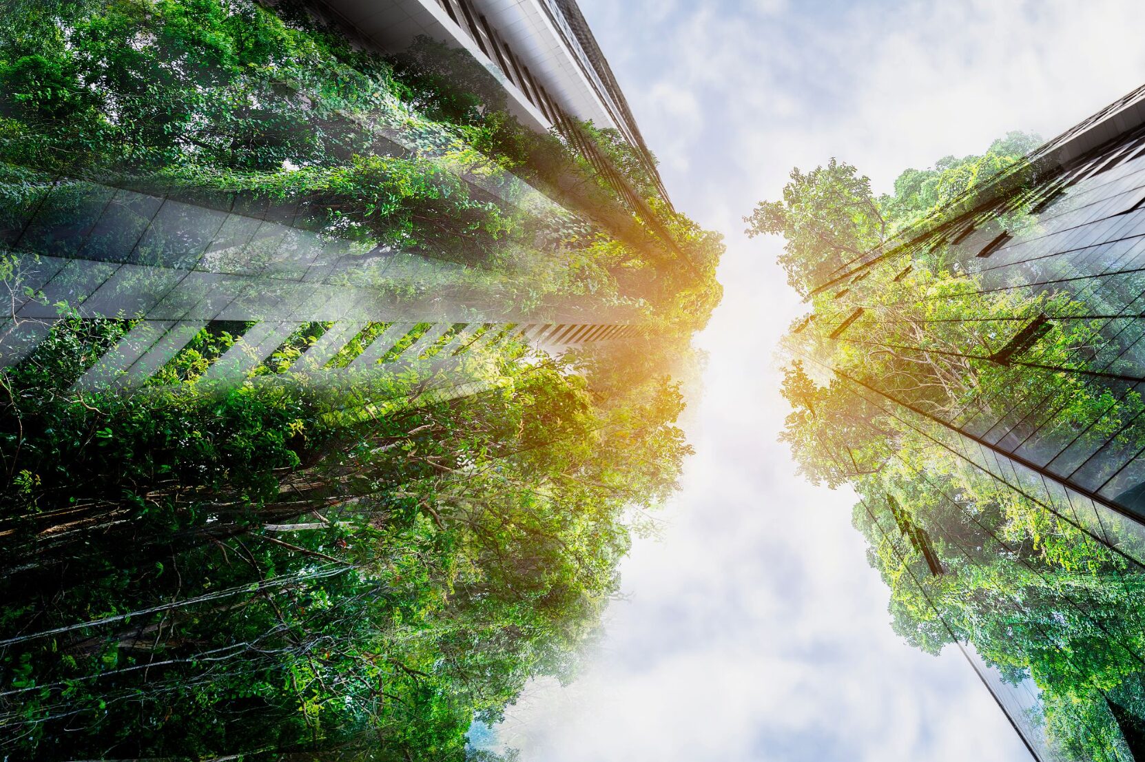 The State of Green Banks 2025: Learnings from green financing structures around the world
