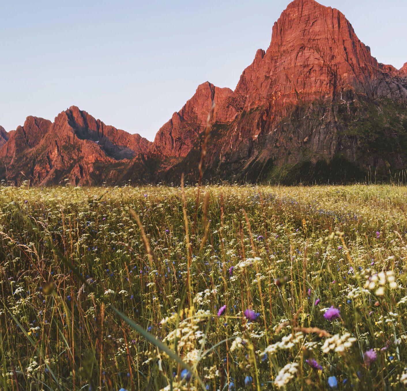 ‚Nature Positive: Corporate Assessment Guide for Financial Institutions‘