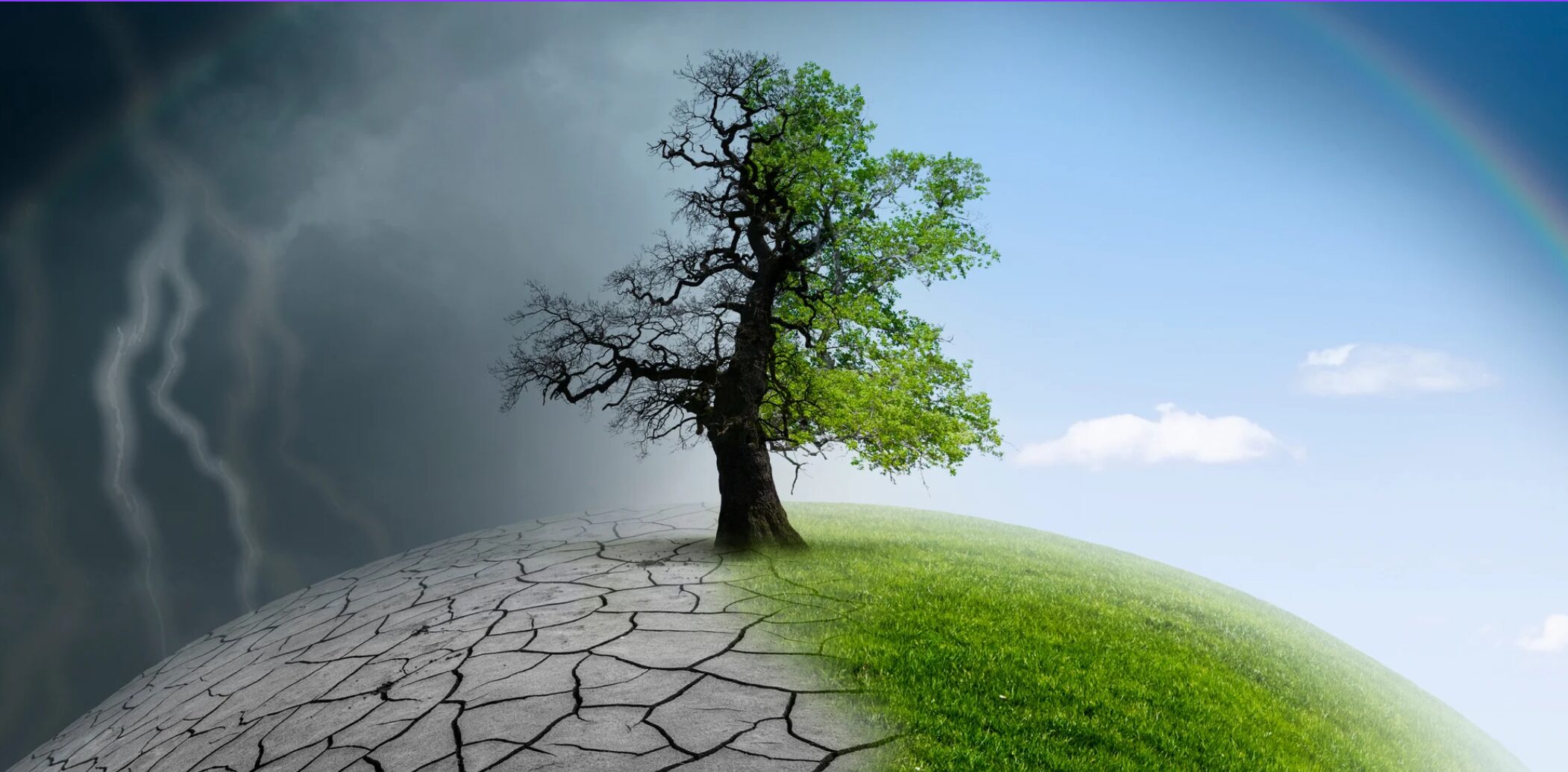 How Finance Can Support Climate Adaptation and Resilience