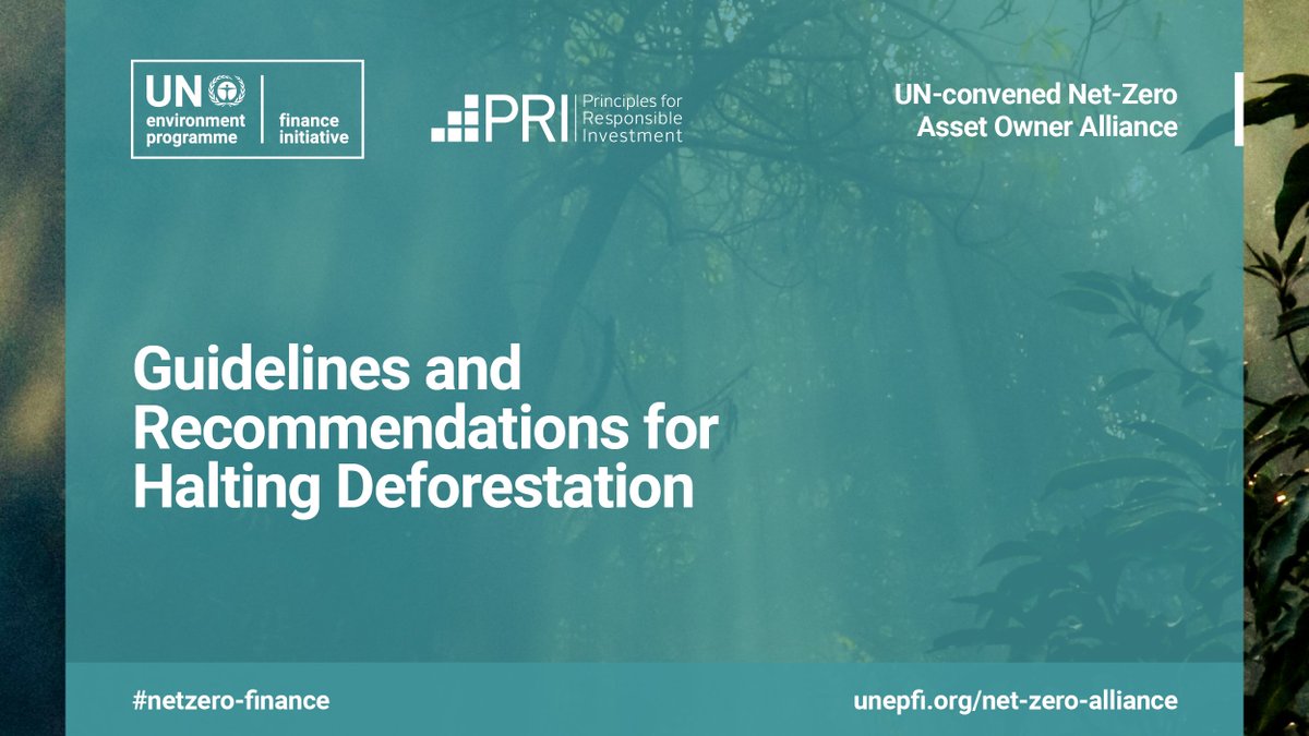 Guidelines and Recommendations for Halting Deforestation