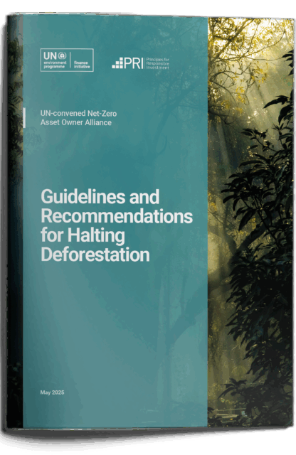 Guidelines and Recommendations for Halting Deforestation