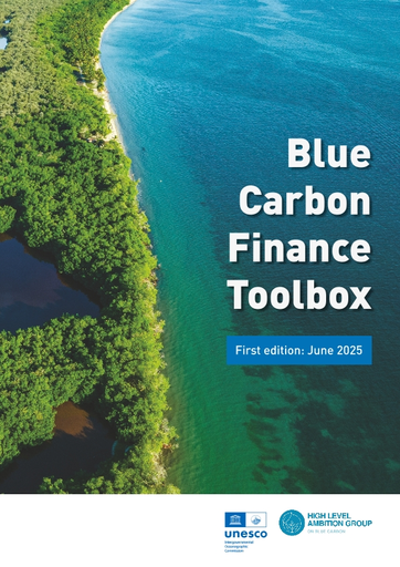 Blue carbon finance toolbox