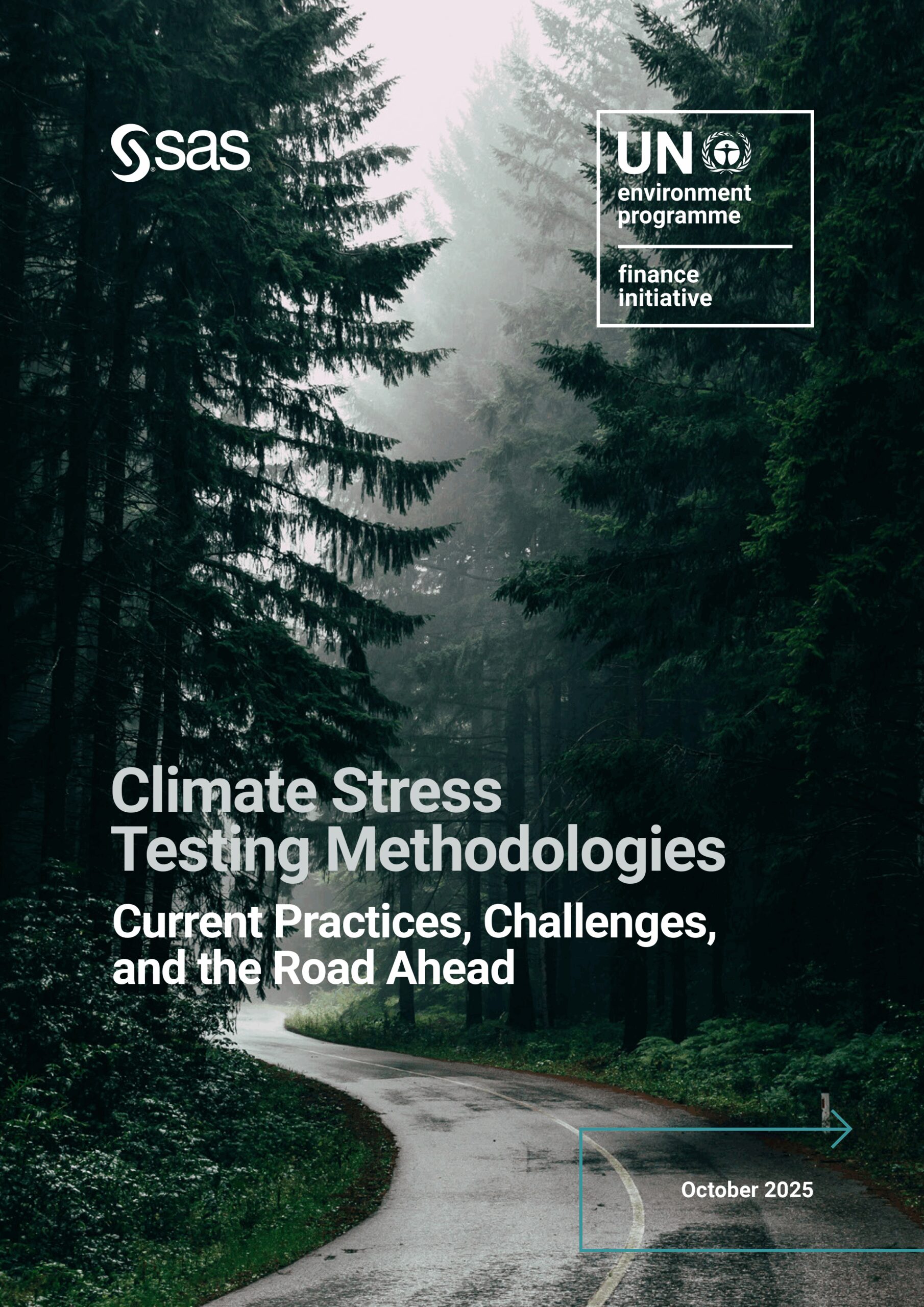 Climate Stress Testing Methodologies for Banks: Current Practices, Challenges, and the Road Ahead