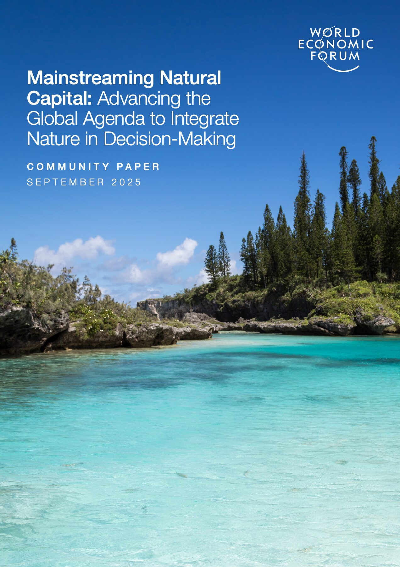 Mainstreaming Natural Capital: Advancing the Global Agenda to Integrate Nature in Decision-Making