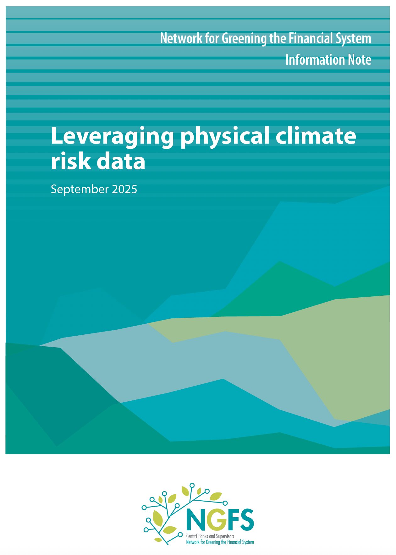 Leveraging physical climate risk data