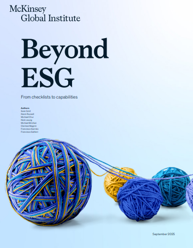 Beyond ESG: From checklists to capabilities