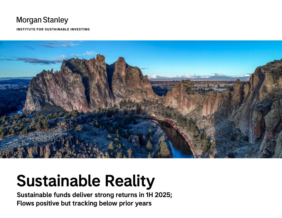 Sustainable Reality
