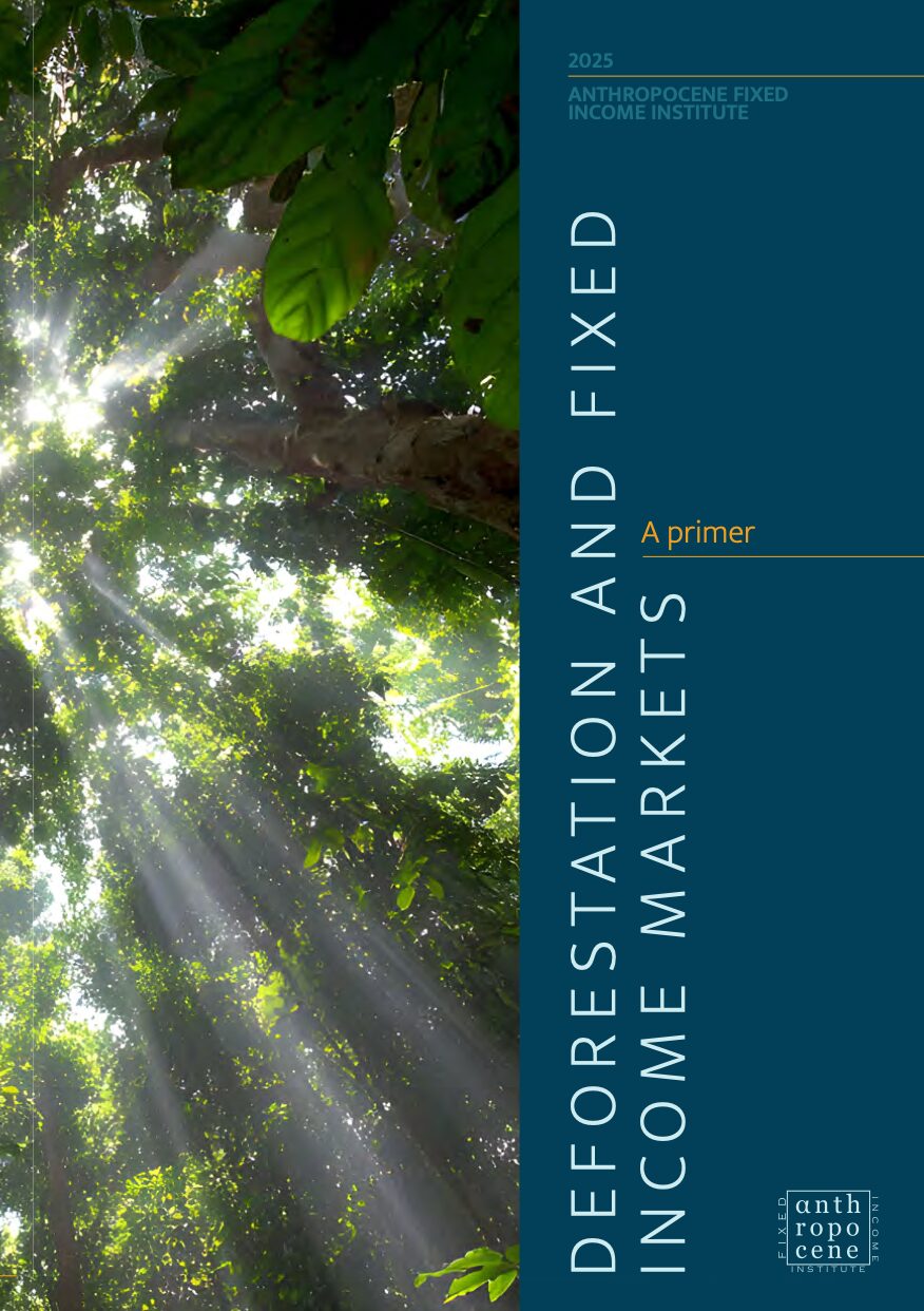 Deforestation and fixed income markets: A primer