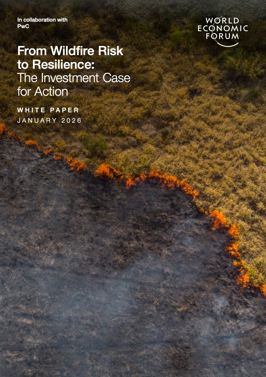 From Wildfire Risk to Resilience: The Investment Case for Action