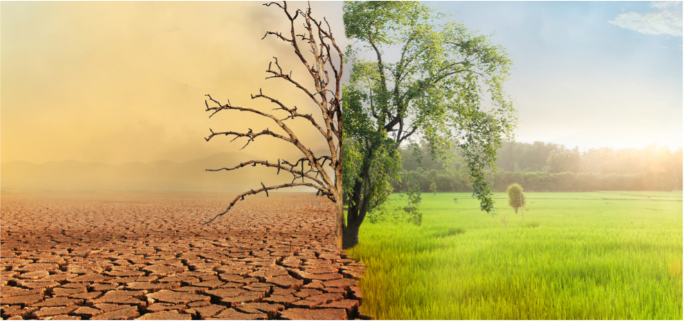 Protected: Summary Report – Mobilising Capital for Impact: Tackling Liquidity Constraints in Emerging Market Investments