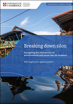 Breaking Down Silos: Navigating the Intersection of Environmental and Social risks for Investors